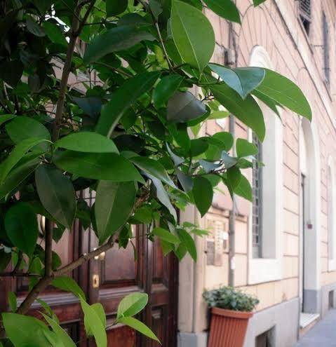 Hotel castelfidardo