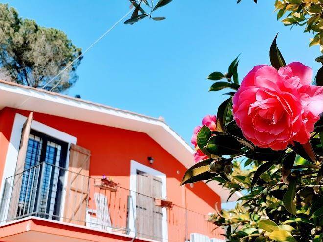 Il giardino delle camelie b&b