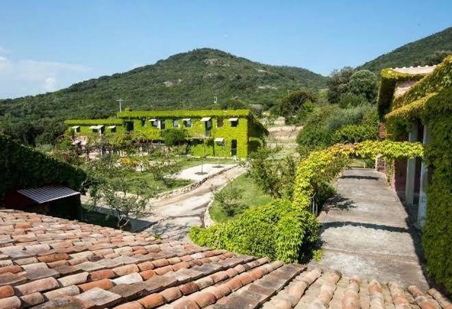 L'isola Di Rosa Image