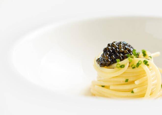 Terrazza Rhinoceros Image