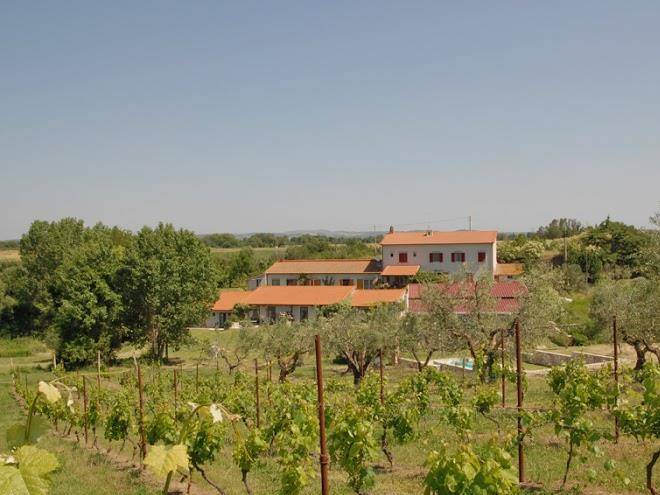 Arcipelago di arte et agricoltura