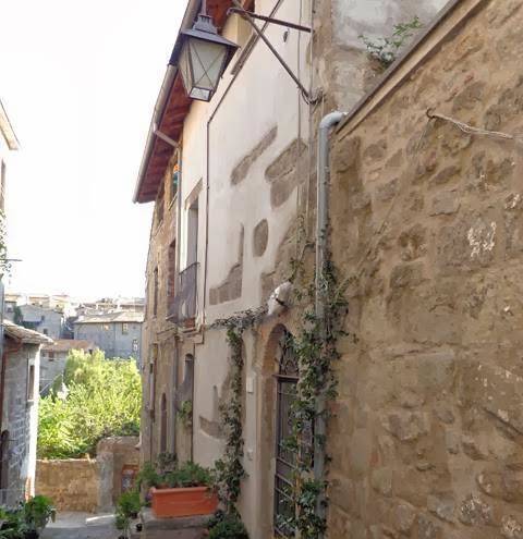 B&b il peperino
