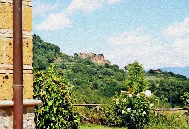 Bnb il castagneto
