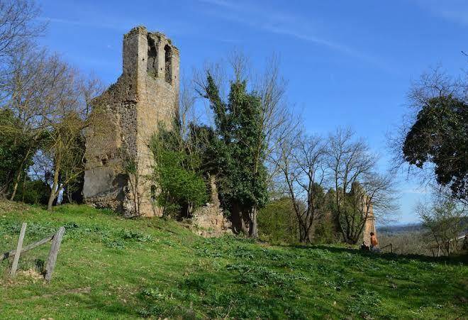 Fattoria lucciano