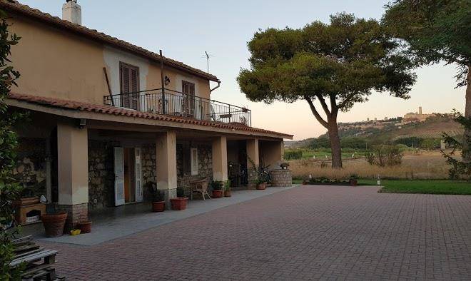I pini del marta