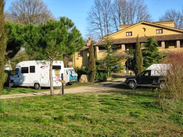 Il corniolo