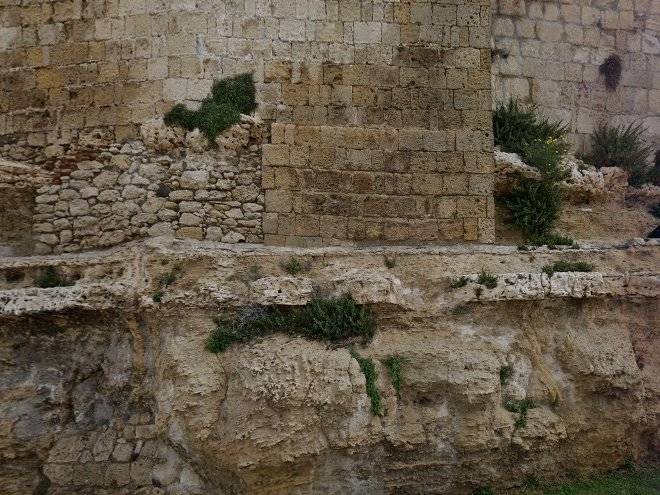 In Tarquinia Albergo Diffuso Sistemazioni Di Piazza Duomo 2 Image
