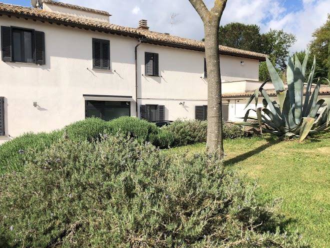 La balocca