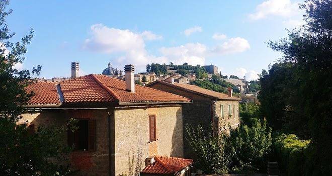 La bertina