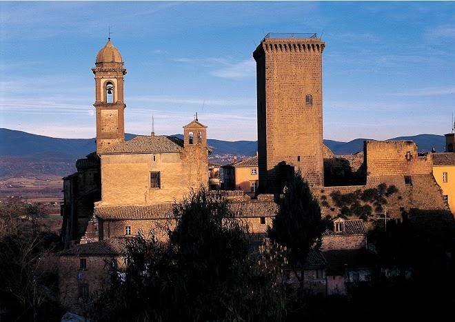 La Tana Dell'istrice Di Sergio Mottura Cantine Storiche Image