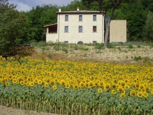 Locanda monte pimpio