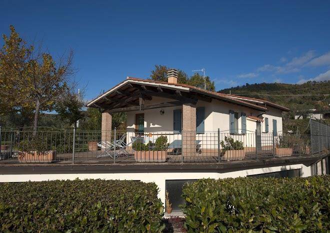 Poggio delle api