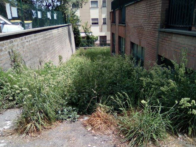 Il giardino di viterbo