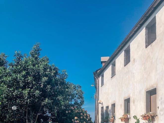 Agriturismo fattoria montecontessa