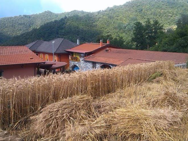 Agriturismo la marpea
