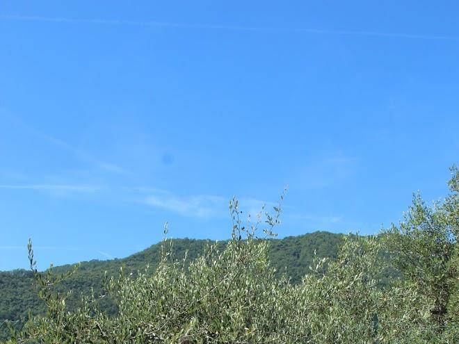 Agriturismo olivarancio