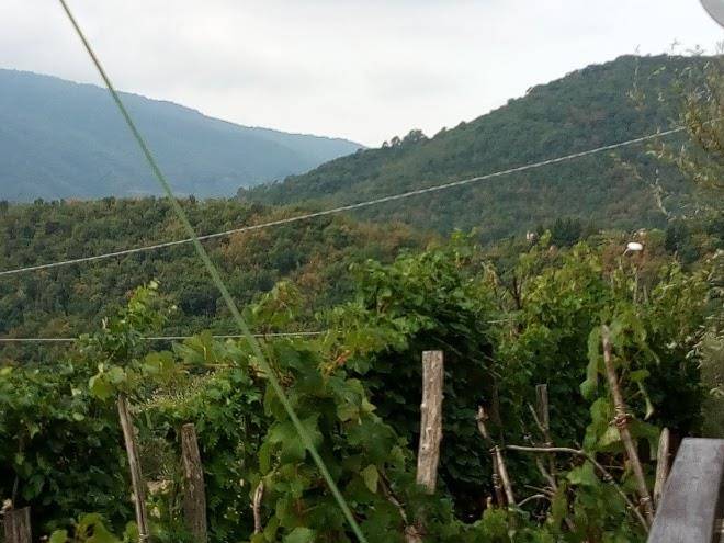 Agriturismo rue de zerli
