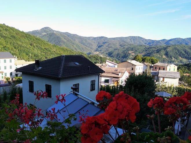 Albergo la pineta