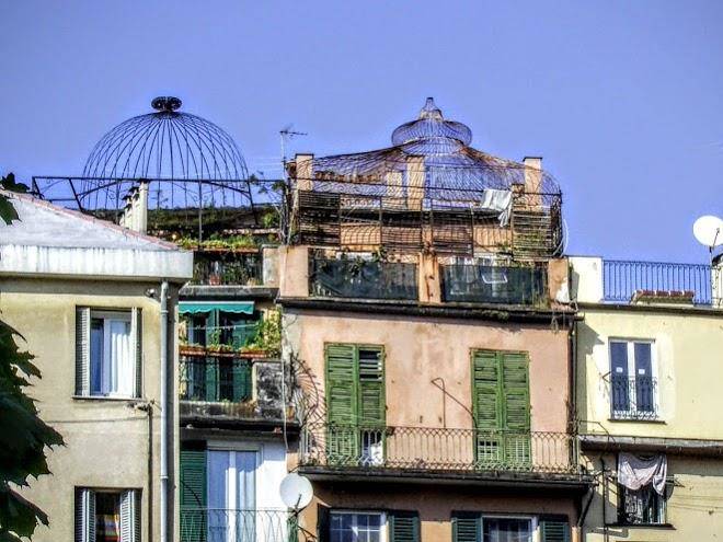 Panson Dal 1790 Image