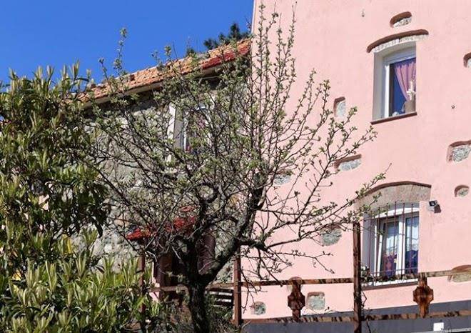 Azienda agricola arca di nene di ottaviani valentina