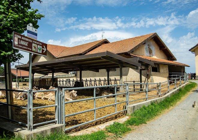 Azienda agricola lavage