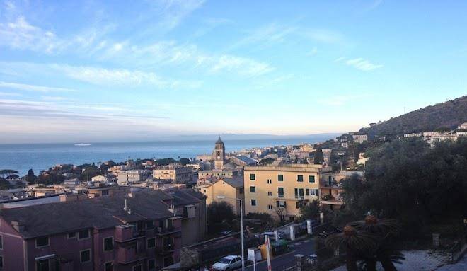 La panoramica nervi