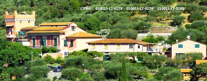 Olive press lodge