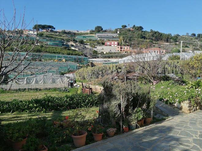 B&b miro