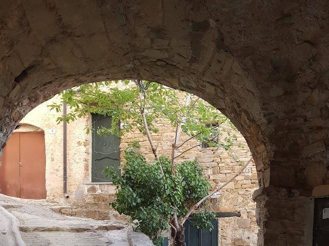 Dal patriarca