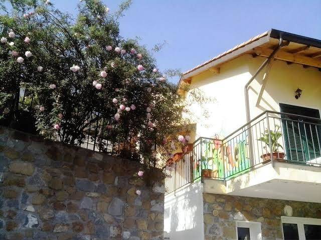 L'erba degli abrighi citr 008065 beb 0005