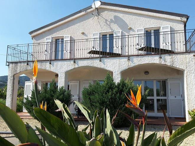 La strelitzia cervo mare