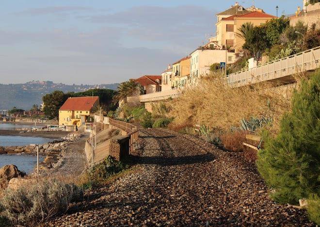 Le nereidi