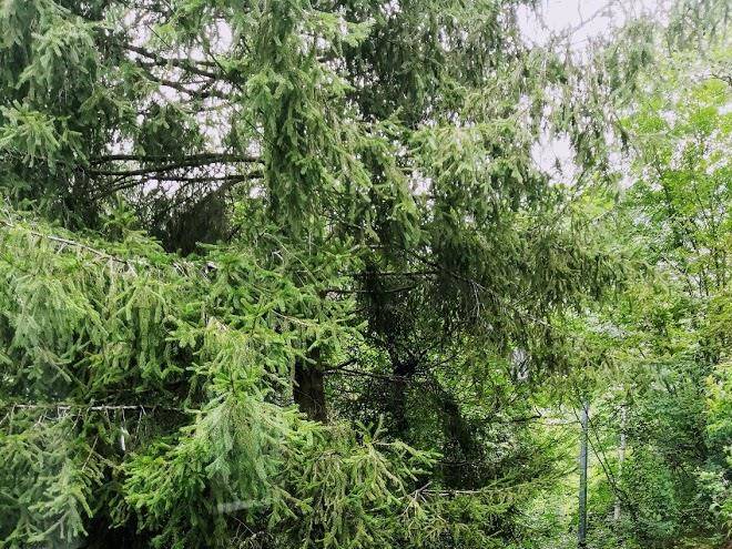 Secret Gardens B&b Image