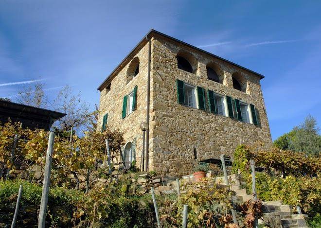 Terre bianche