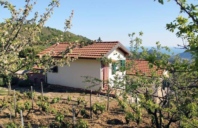 L'oasi del rossese
