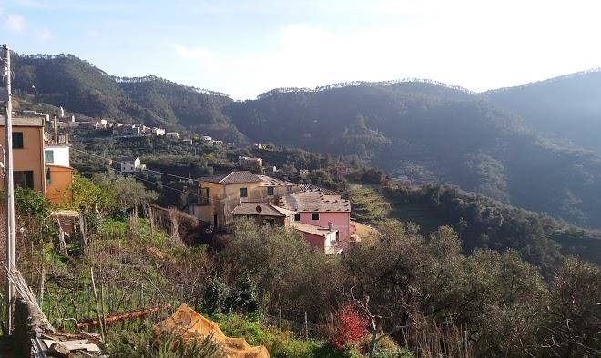 Affittacamere creuza de legna