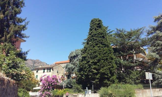 Affittacamere rosa dei venti
