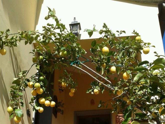 Agriturismo b&b la volpe e luva