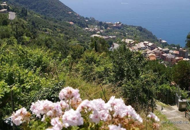 Albergo silvia