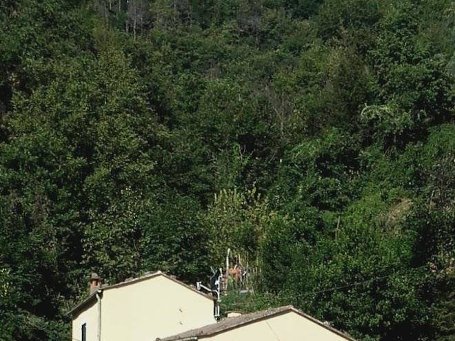 B&b il ghiro