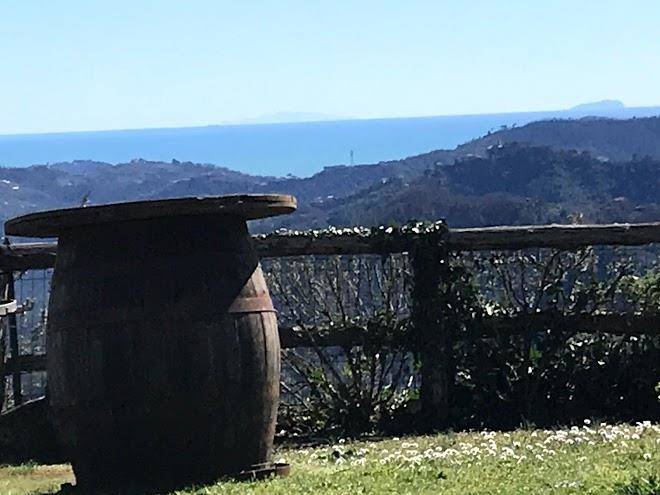 Castellaccio 5 Terre Residence Image