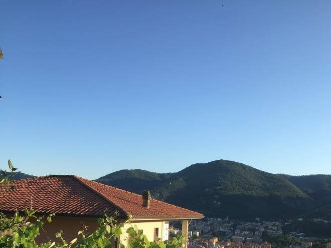 Gli amici di carla