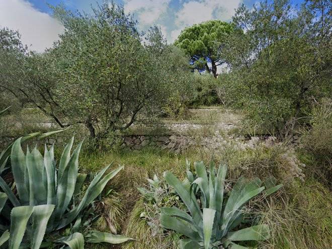 I Profumi Della Collina Image