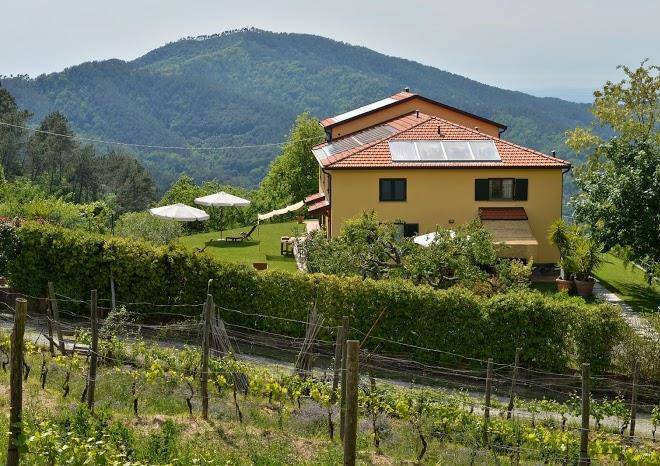 Il laghello di amina