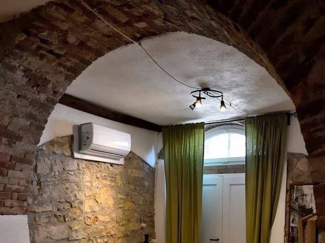 Il Riccio Tra I Castagni Image