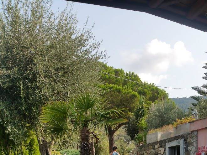 La cabana hotel