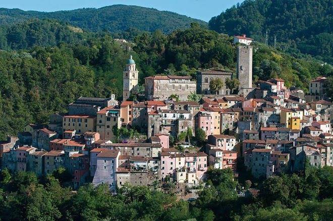 La luna e l'ulivo antica residenza codice citr 011002 beb 0006