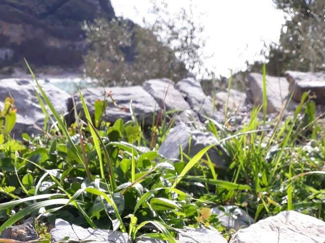 Le Case Negli Orti Acquasanta Image