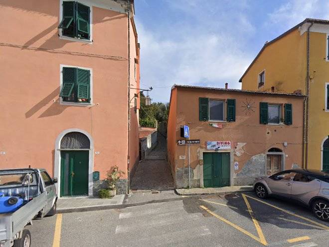 Verdemare e verdementa