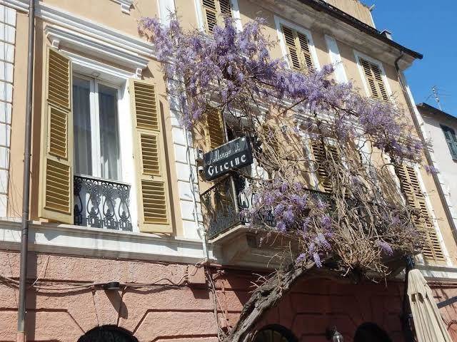 Albergo glicine